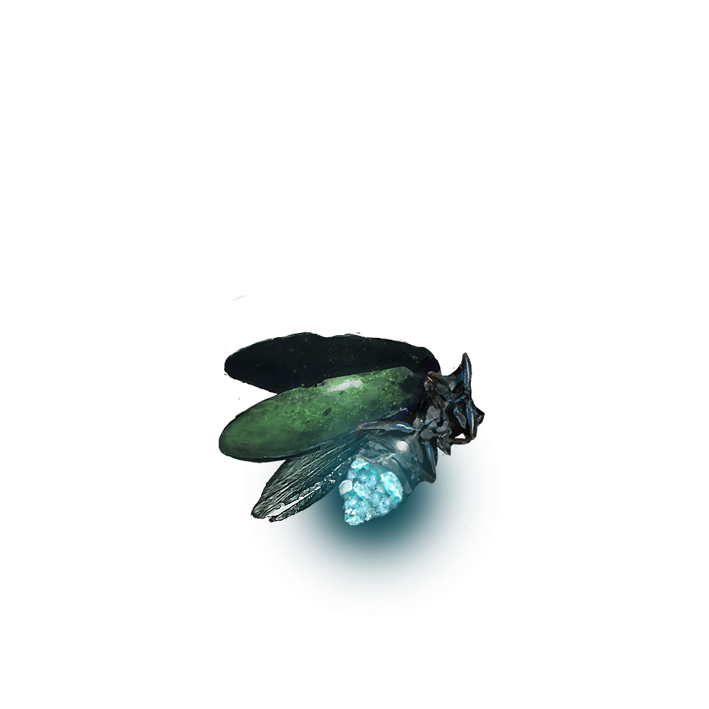 粒子 4